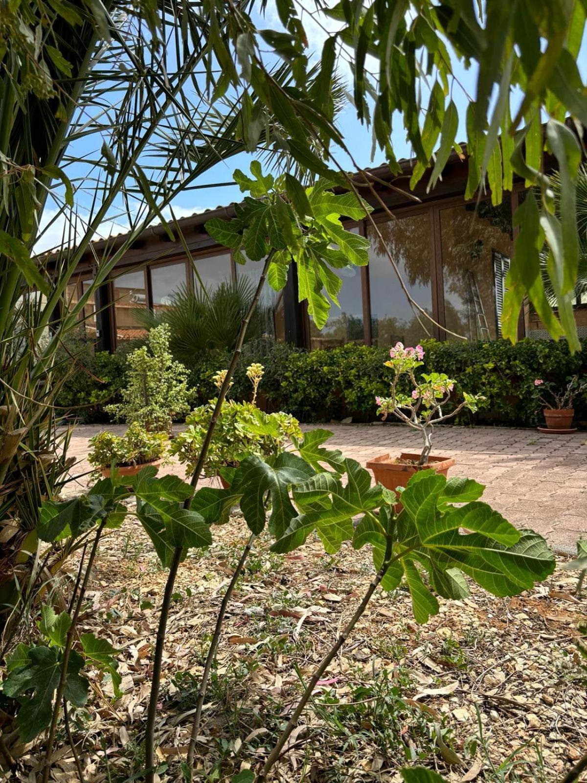 Rifugio Giudeo Guest House Balestrate Exterior foto